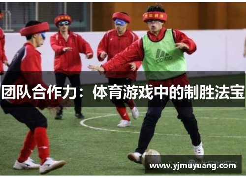 团队合作力：体育游戏中的制胜法宝