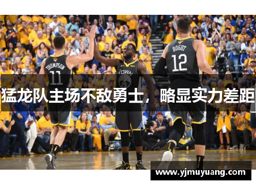 猛龙队主场不敌勇士，略显实力差距
